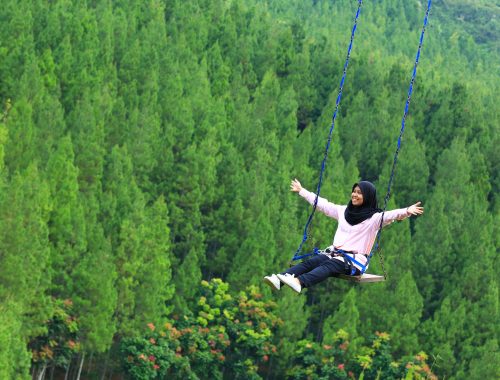 Woman on swing above trees, smiling
